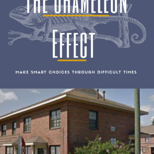 The Chameleon Effect