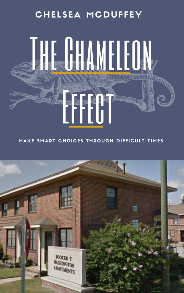 The Chameleon Effect: Smart Choices Through Difficult Times